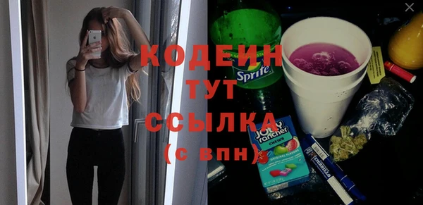 сатива Лабытнанги