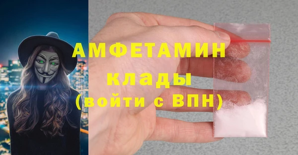сатива Лабытнанги