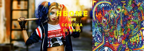 сатива Лабытнанги