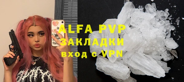 сатива Лабытнанги