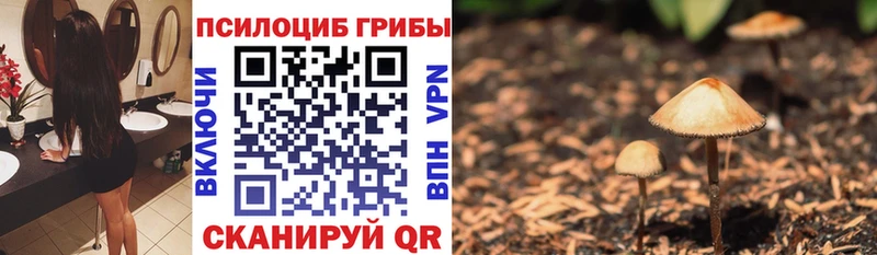 Псилоцибиновые грибы Psilocybine cubensis  где купить наркотик  мега ссылка  Черемхово 