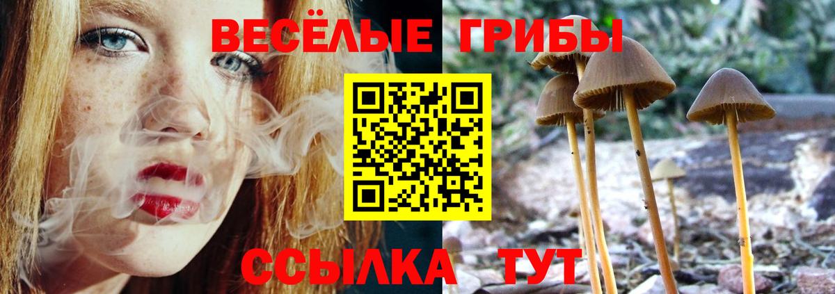 Галлюциногенные грибы MAGIC MUSHROOMS Черемхово